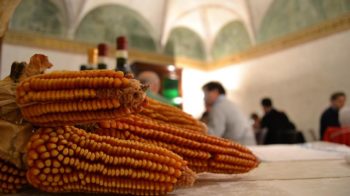 incontro fra i firmatari del network internazionale dei mais antichi valseriana news